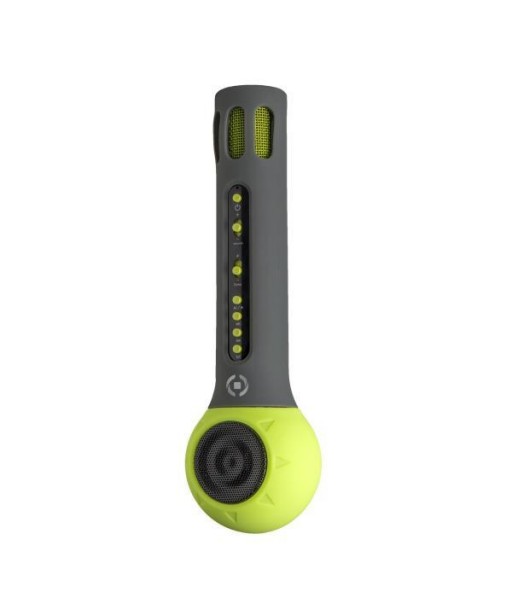MICRO A EFFET ENCEINTE BT CELLY