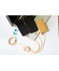 CABLE DE CHARGE 3EN1 1,2M LEONARD SQUISHMALLOWS