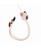 CABLE DE CHARGE 3EN1 1,2M CAM SQUISHMALLOWS
