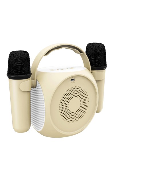 ENCEINTE NOMADE BT KARAOKE DOUBLE MICRO AVEC VOICE CONTROL CELLY
