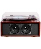 PLATINE VINYLE COULEUR BOIS TT 1030 BT IN OUT TREVI