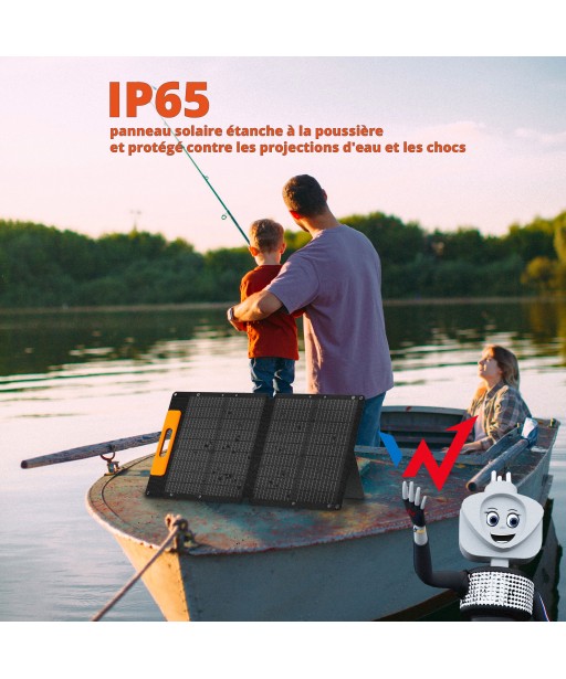 PANNEAU SOLAIRE WS60 60W WONDER