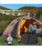 PANNEAU SOLAIRE WS60 60W WONDER