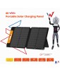 PANNEAU SOLAIRE WS60 60W WONDER