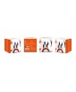 SET DE CABLE MC4 5M WONDER