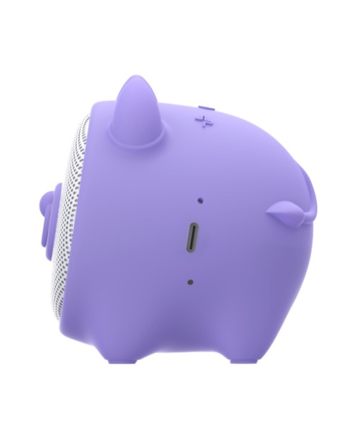 ENCEINTE NOMADE 3W TAUREAU CELLY