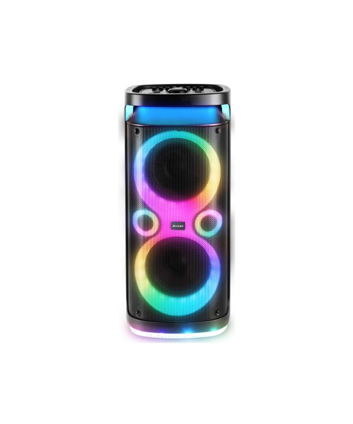 ENCEINTE KARAOKÉ XF 3150 KO 130W TREVI