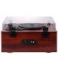 PLATINE VINYLE COULEUR BOIS TT 1030 BT IN OUT TREVI