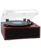 PLATINE VINYLE COULEUR BOIS TT 1030 BT IN OUT TREVI