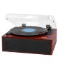 PLATINE VINYLE COULEUR BOIS TT 1030 BT IN OUT TREVI