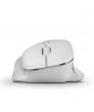 SOURIS SANS FIL ERGONOMIQUE 3200 DPI BLANCHE NILOX