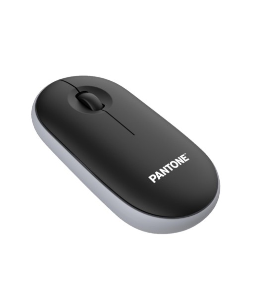 SOURIS SANS FIL NOIRE PANTONE