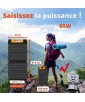 PANNEAU SOLAIRE WS60 60W WONDER