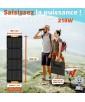 PANNEAU SOLAIRE WS210 210W WONDER