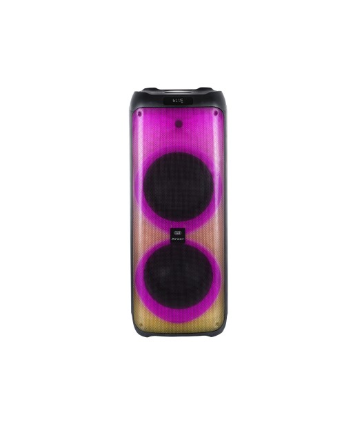 ENCEINTE KARAOKE XF 4100 PRO 300W TREVI