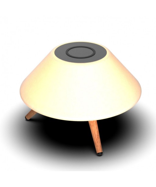 LAMPE DE BUREAU OMNI CHARGE INDUCTION ET HP KSIX