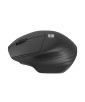 SOURIS SANS FIL ET BT 1600DPI SISKIN 2 NOIRE NATEC