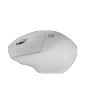 SOURIS SANS FIL ET BT 1600DPI SISKIN 2 BLANCHE NATEC