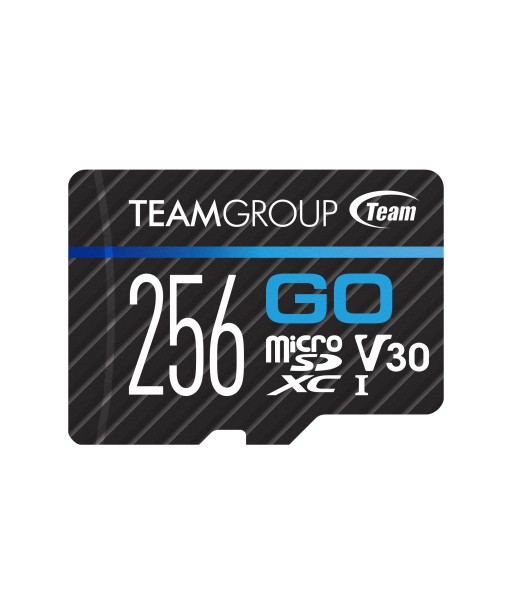 CARTE MSD U3 CAMERA SPORT 256GO TEAMGROUP