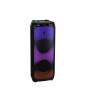 ENCEINTE KARAOKE XF 3400 PRO 200W TREVI